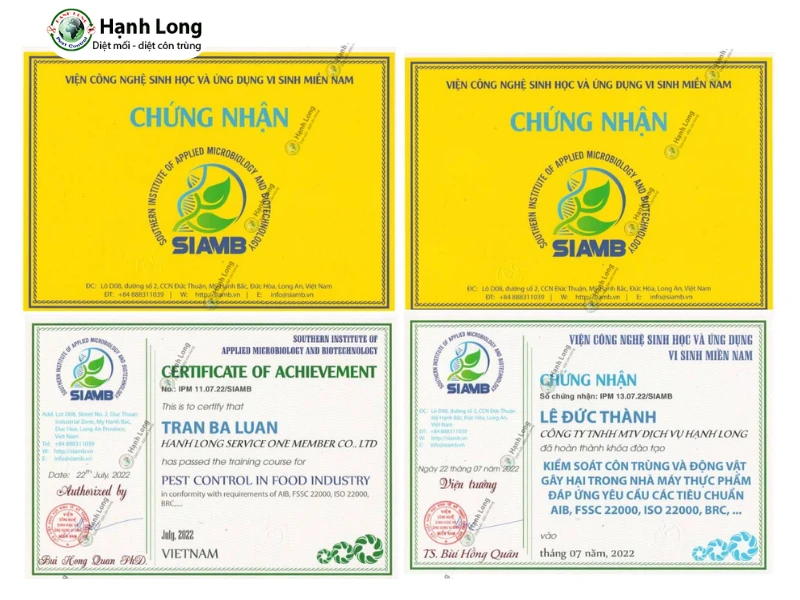 dịch vụ diệt mối nhà xưởng 