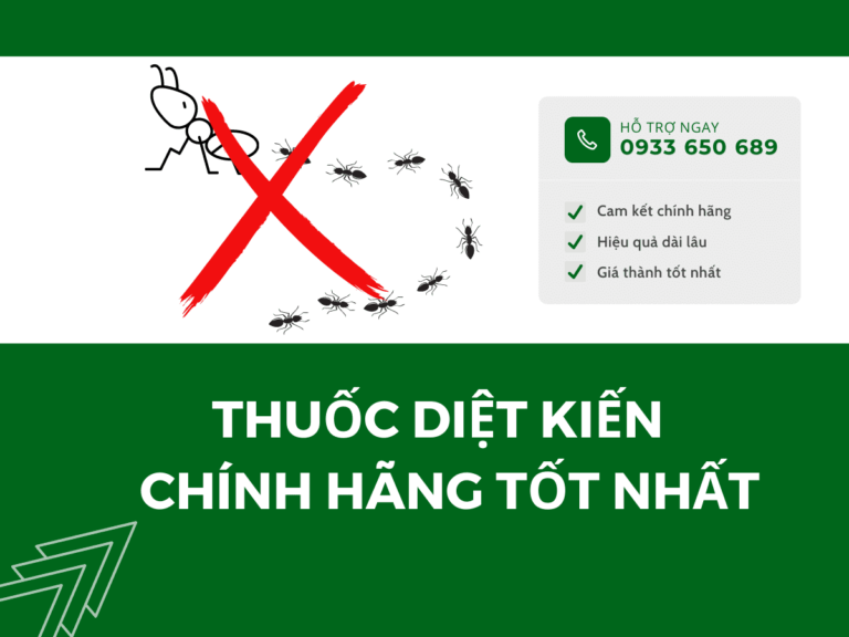 Thuốc diệt kiến sinh học tận gốc tốt nhất tại Hạnh long