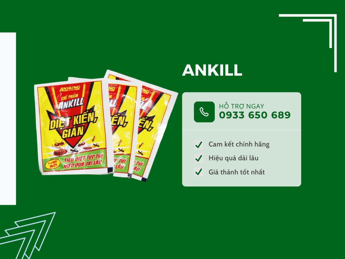Bột diệt kiến Ankill