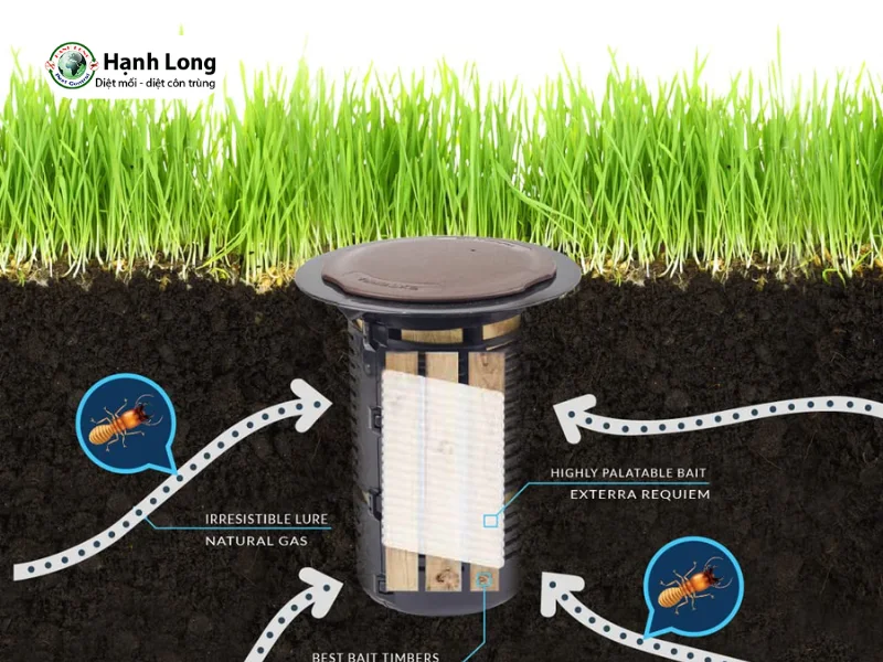 công nghệ diệt mối exterra