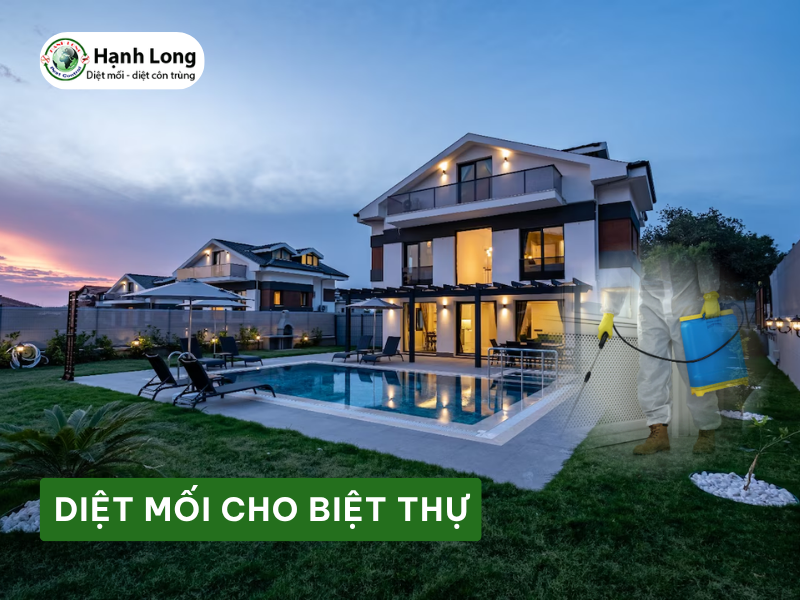 Diệt mối cho biệt thự