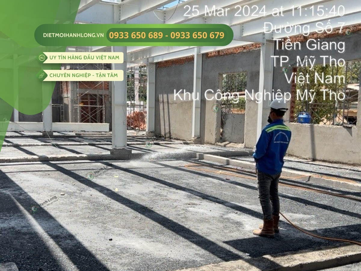 Phun thuốc chống mối tại công trình