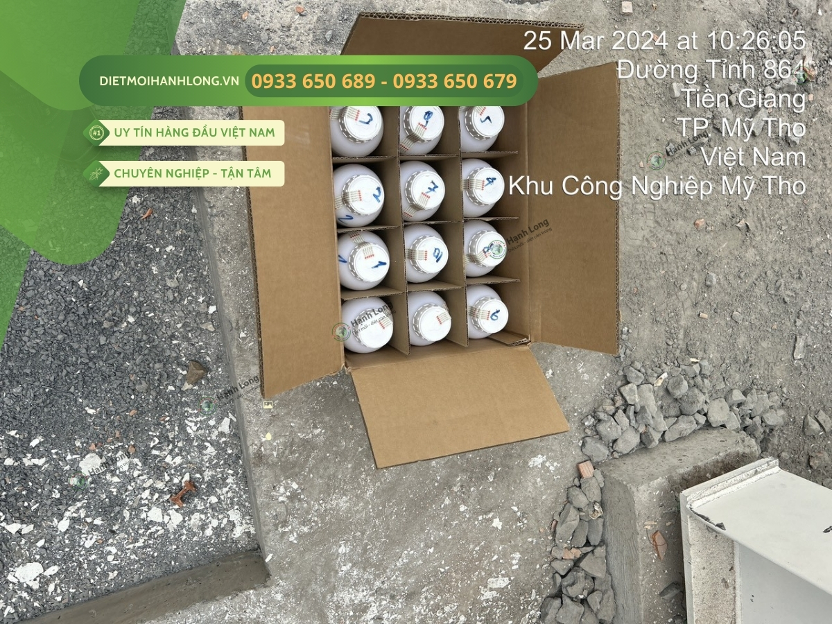 Triển khai chống mối nhanh chóng, chuyên nghiệp