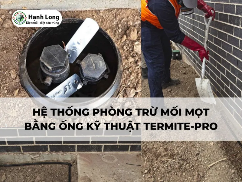 Hệ thống ống kỹ thuật Termite-pro