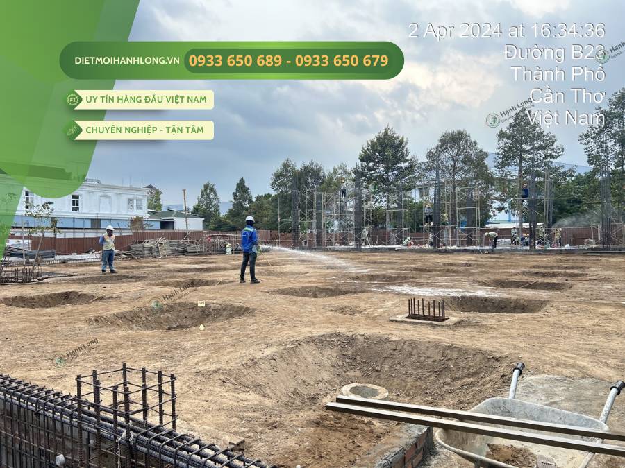 Định mức phòng chống mối công trình xây dựng