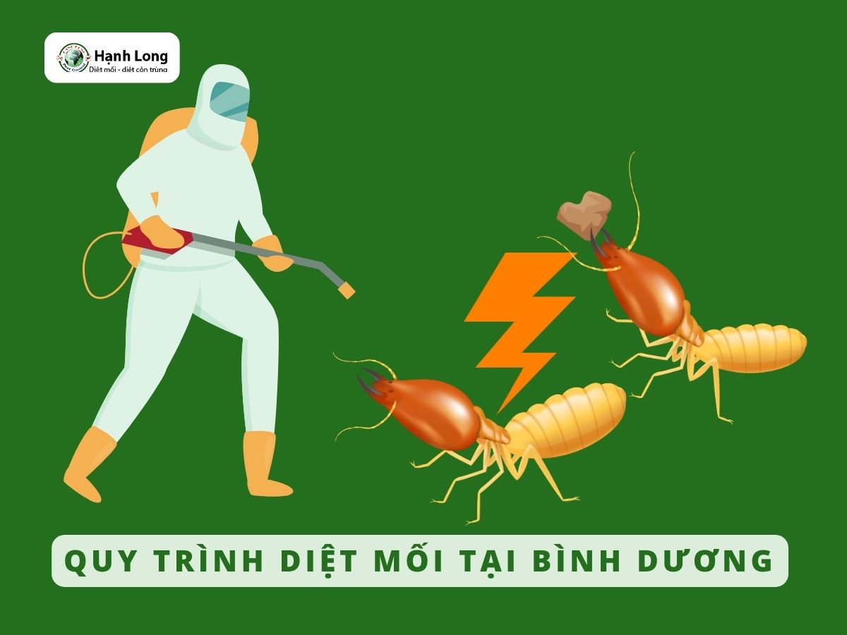 Quy trình diệt mối tận gốc tại Bình Dương