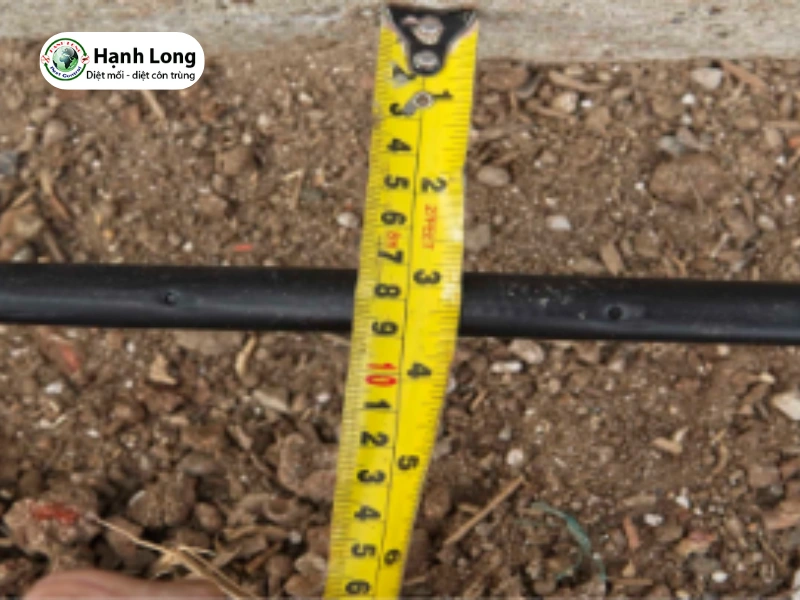 Hệ thống ống kỹ thuật Termite-pro