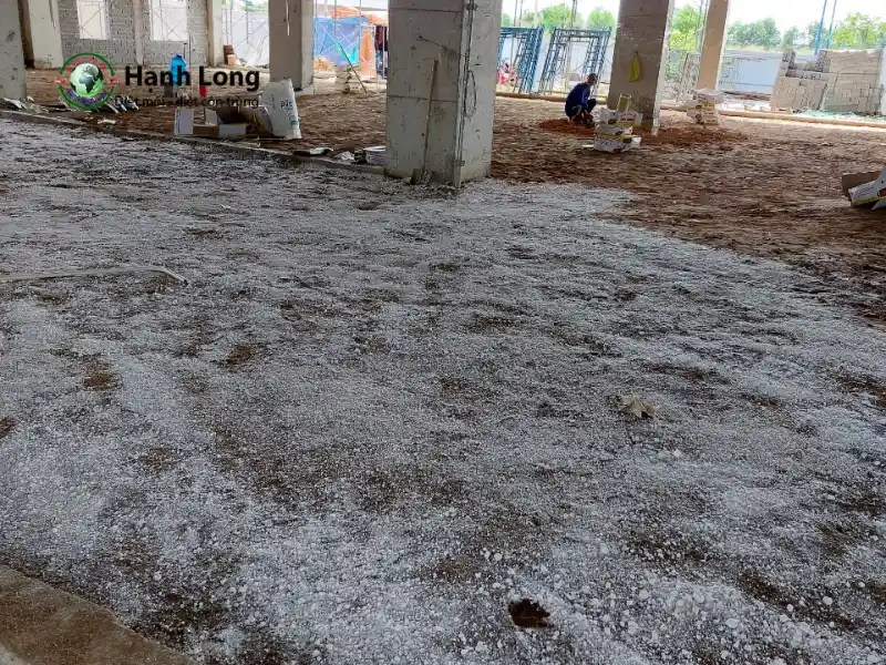 Tư vấn diệt mối - 5 Kinh nghiệm diệt mối dành cho bạn 