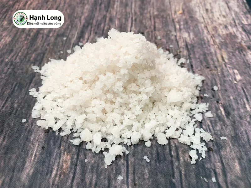 diệt mối cửa gỗ