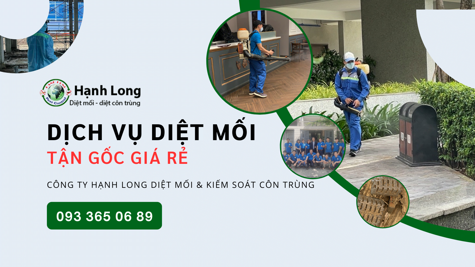 Diệt mối tại Tây Ninh Uy Tín Nhanh Chóng