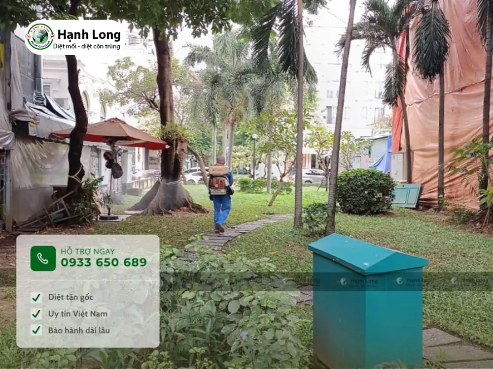 chứng chỉ diệt côn trùng