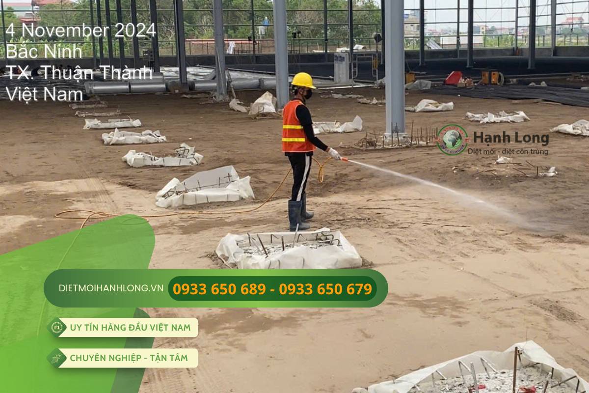 Triển khai thi công chống mối thực tế tại dự án KCN Bắc Ninh
