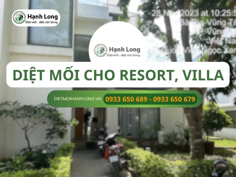 Diệt mối resort 