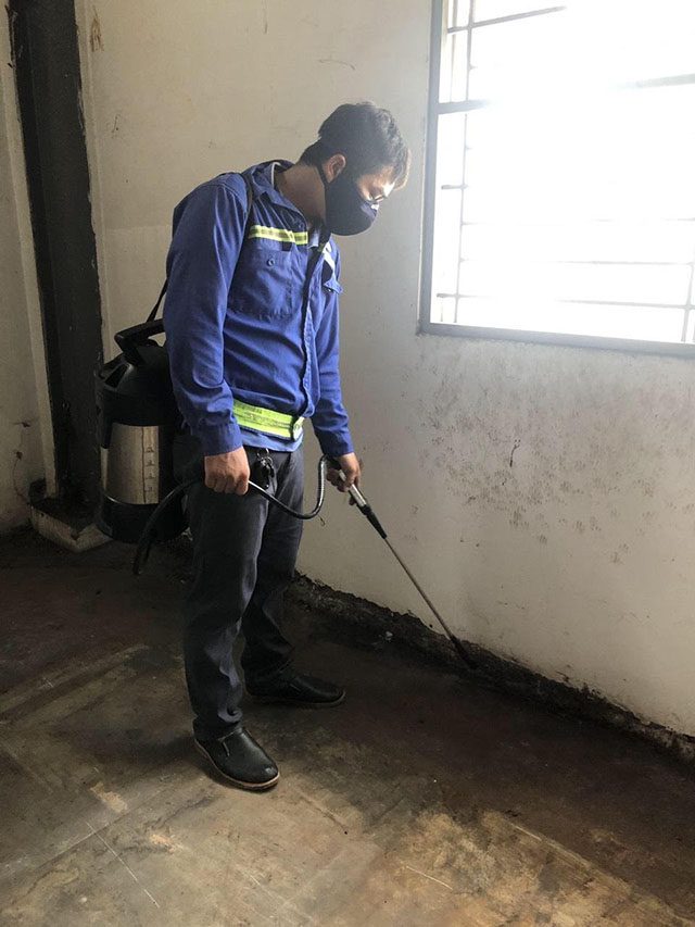 Cam kết diệt mối huyện Cần Giờ hiệu quả