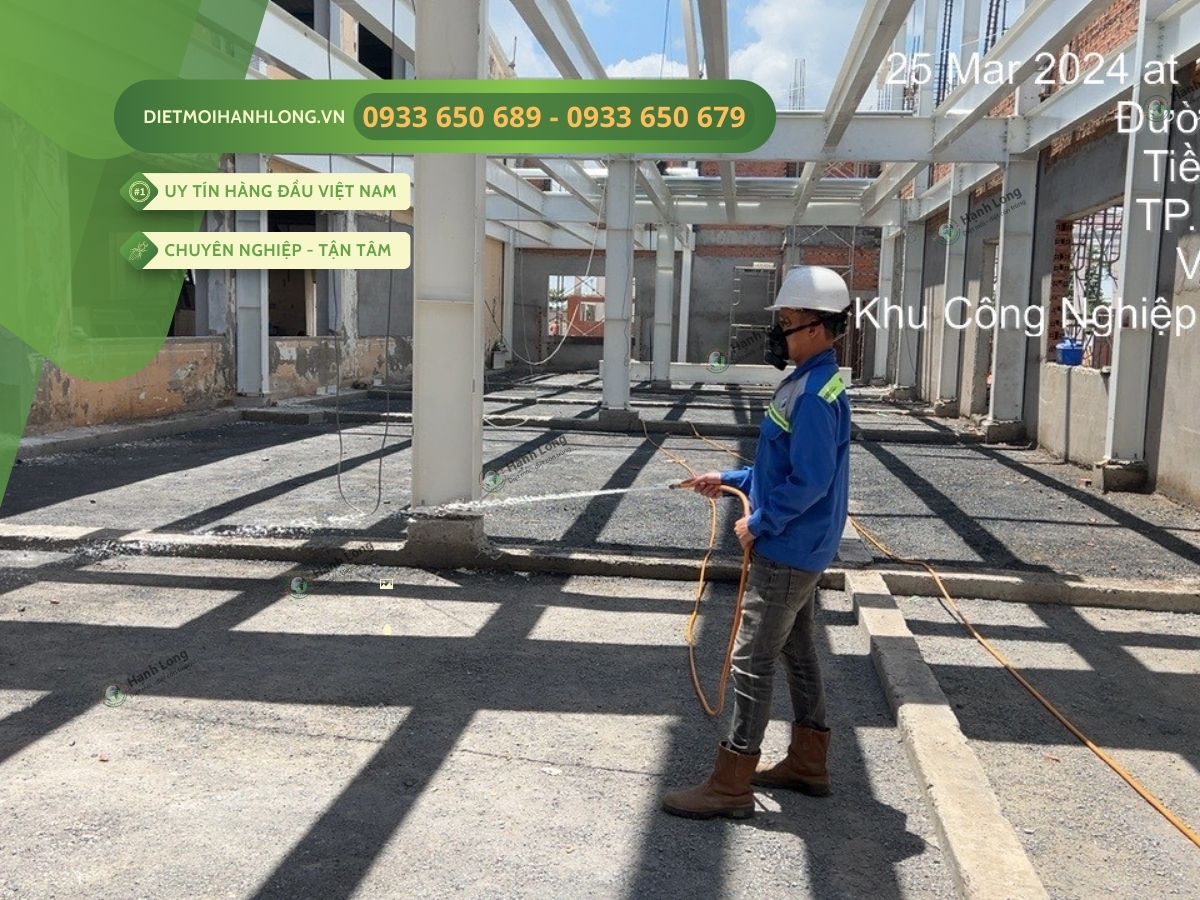 Phòng Chống Mối Công Trình Tại Mỹ Tho, Tiền Giang