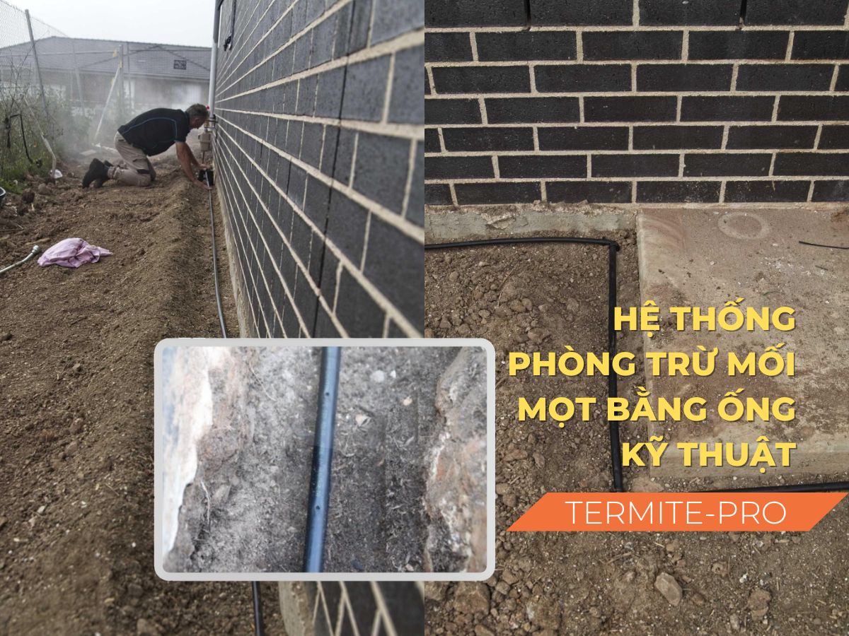 Công nghệ ống kỹ thuật TERMITE-PRO: Hệ thống hàng rào phòng mối