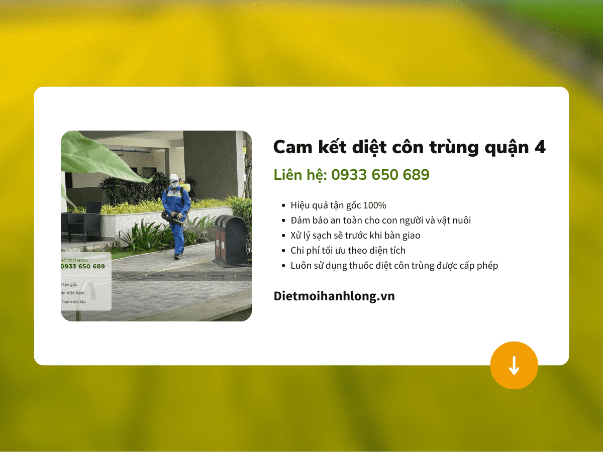 Cam kết khi diệt côn trùng quận 4