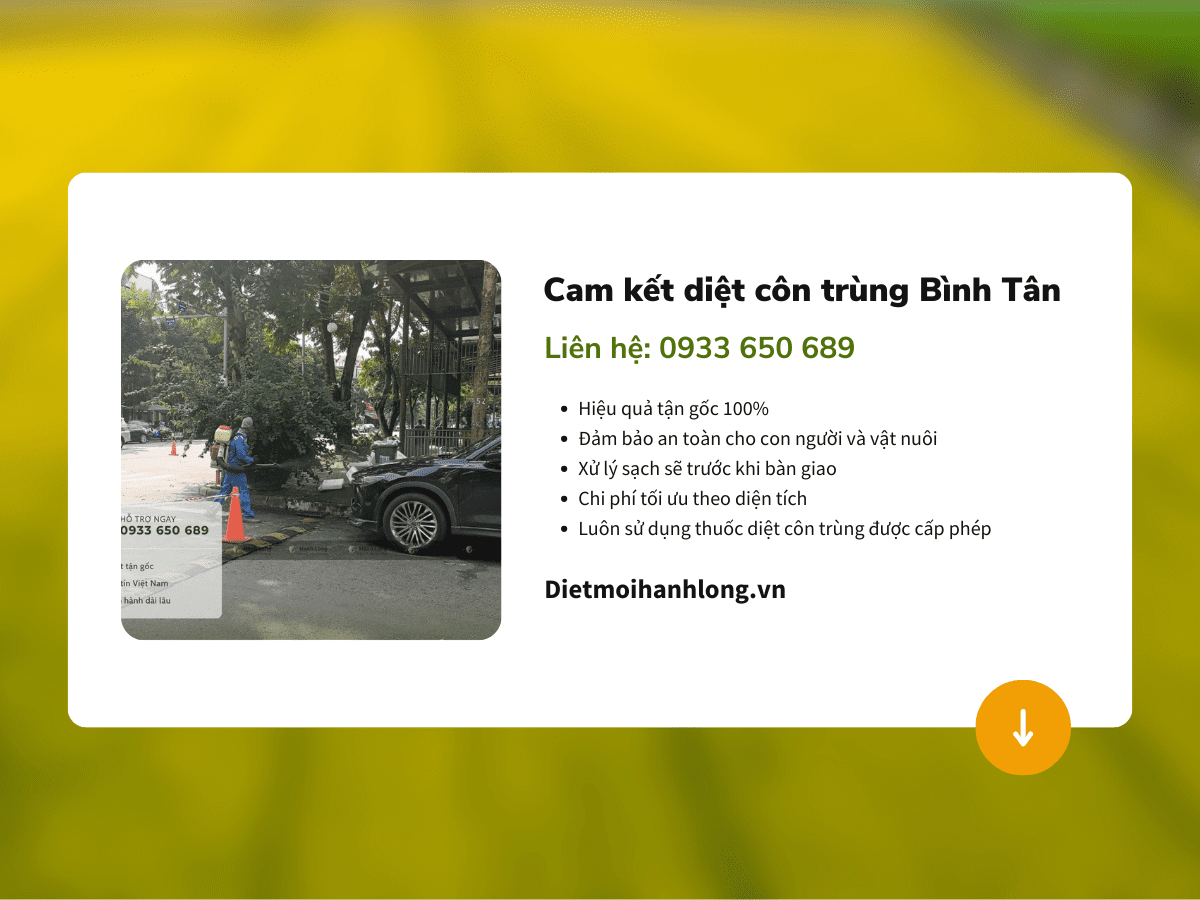 Cam kết khi diệt côn trùng quận Bình Tân