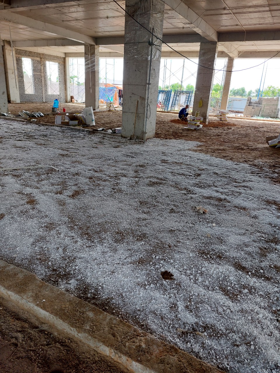 Chống mối cho nền móng tại Đồng Nai