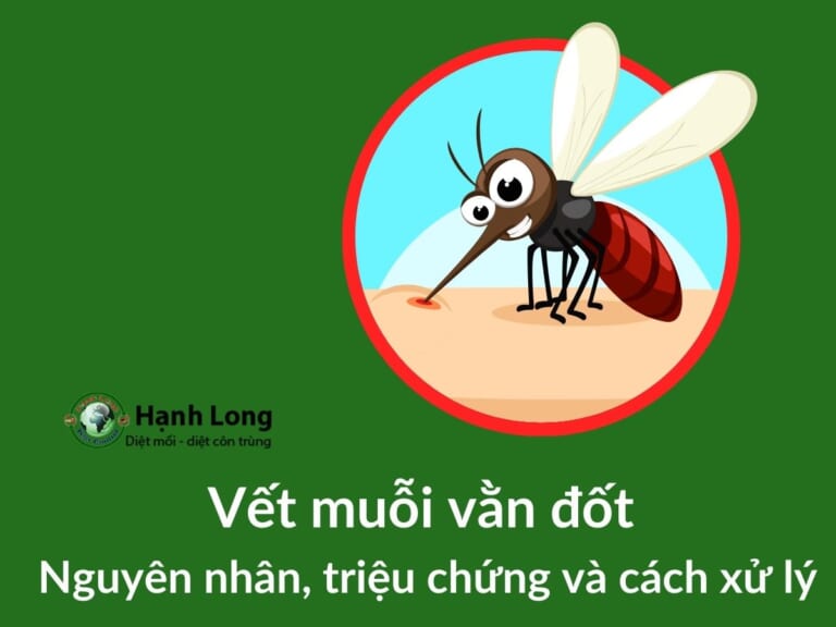 Vết muỗi vằn đốt – Nguyên nhân, triệu chứng và cách xử lý
