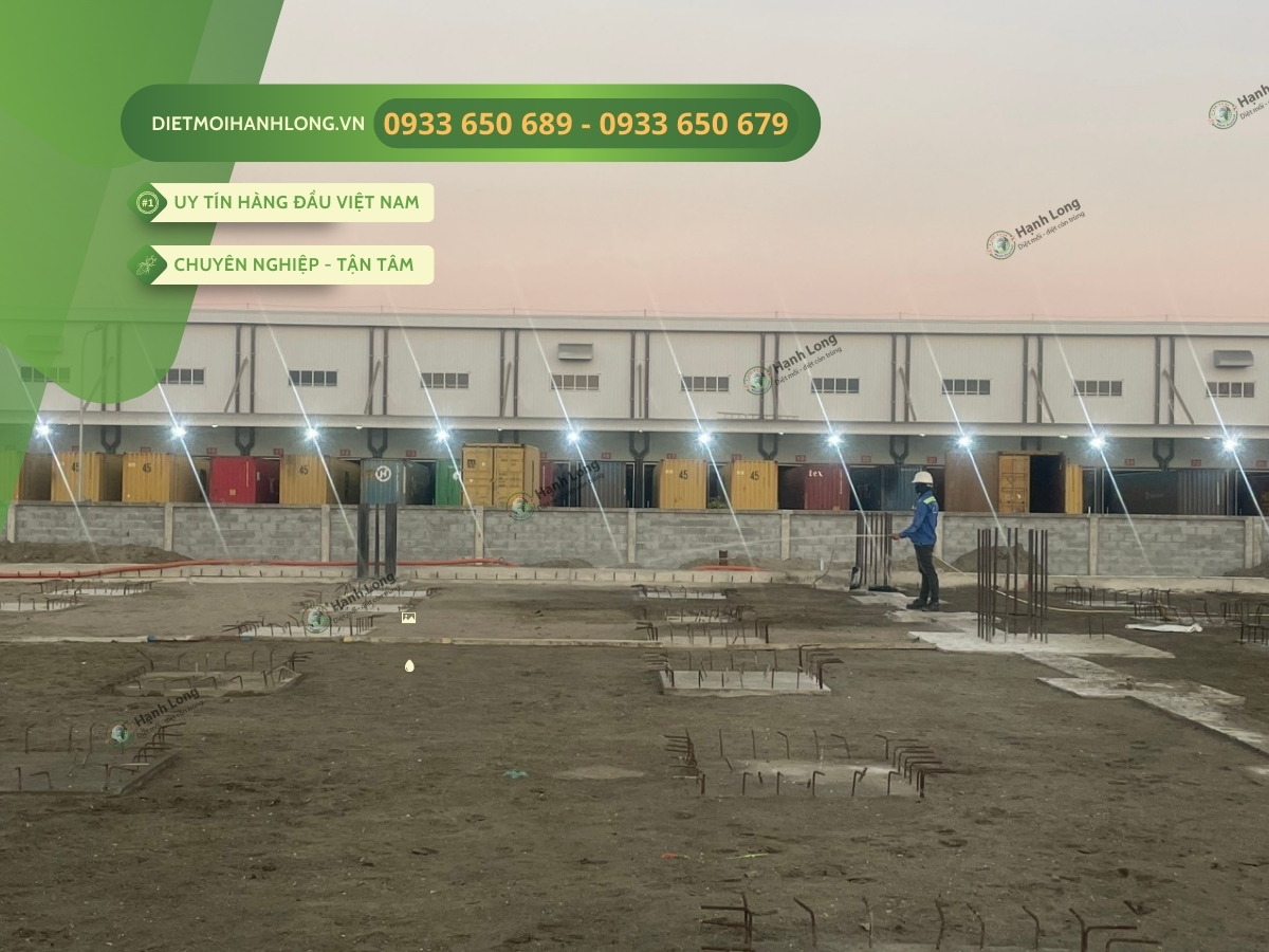 Thi công chống mối tại Phú Mỹ Vũng Tàu