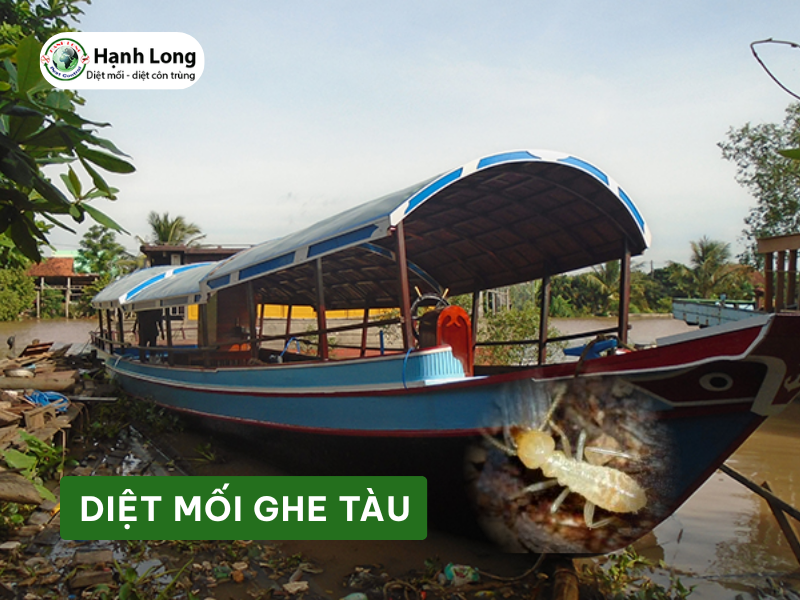 Dịch vụ Diệt mối ghe tàu