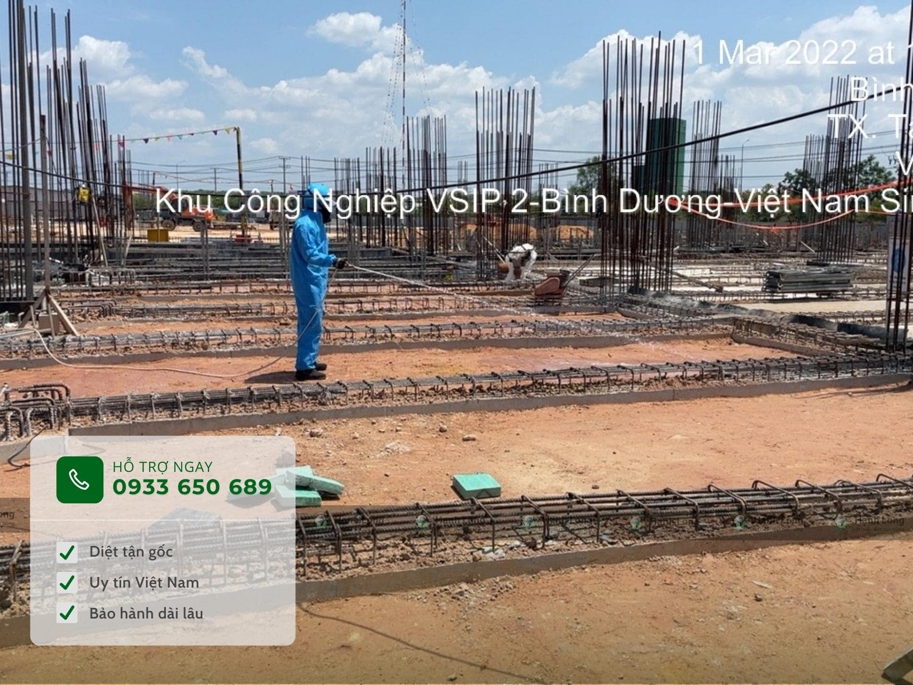 Phòng chống mối Bình Dương uy tín