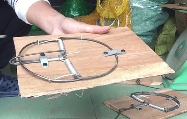 Sử dụng bẫy chuột hình bán nguyệt