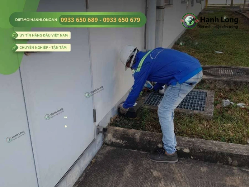 dịch vụ diệt chuột tại nhà
