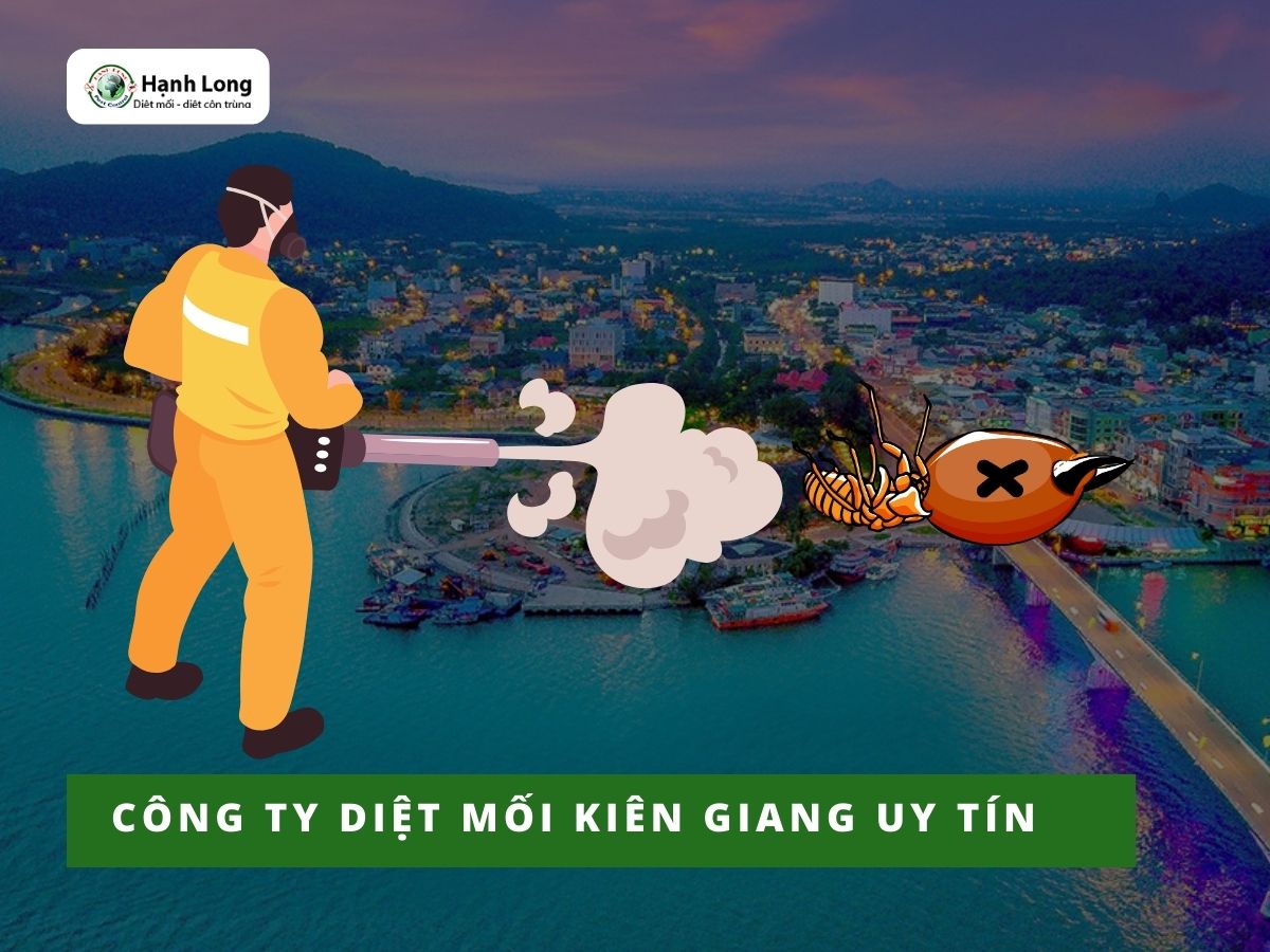 Công ty diệt mối tại Kiên Giang