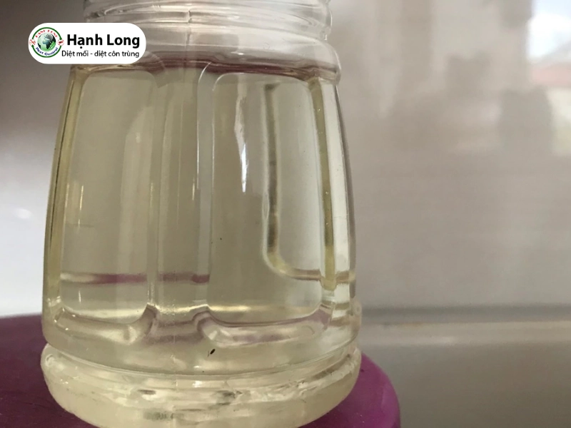 diệt mối cửa gỗ