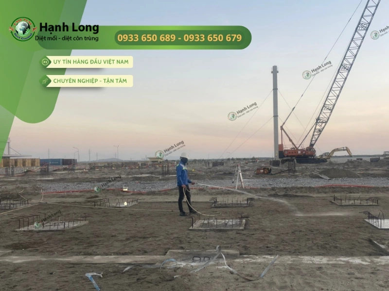 diệt mối khi xây nhà