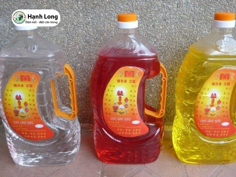 Cách diệt mối bằng dầu hỏa đúng cách, hạn chế cháy nổ