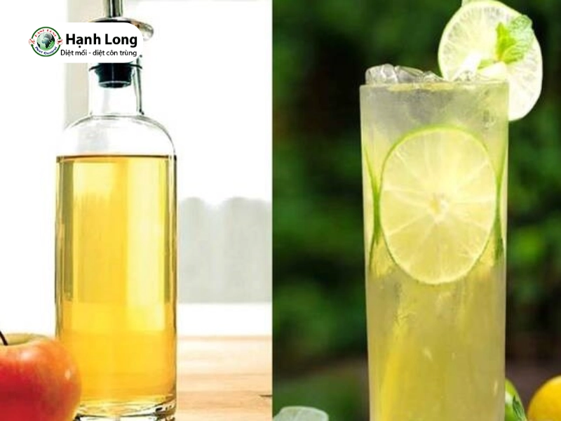 mối xông tủ bếp