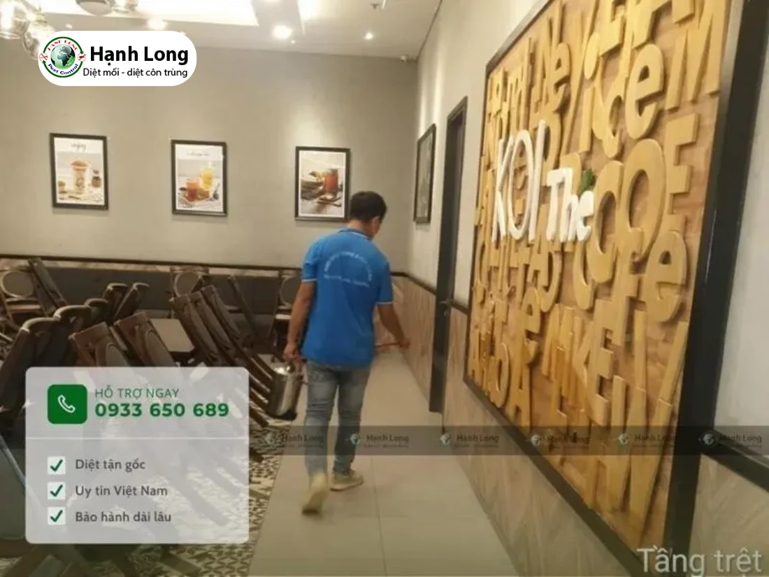 công ty diệt kiến ba khoang