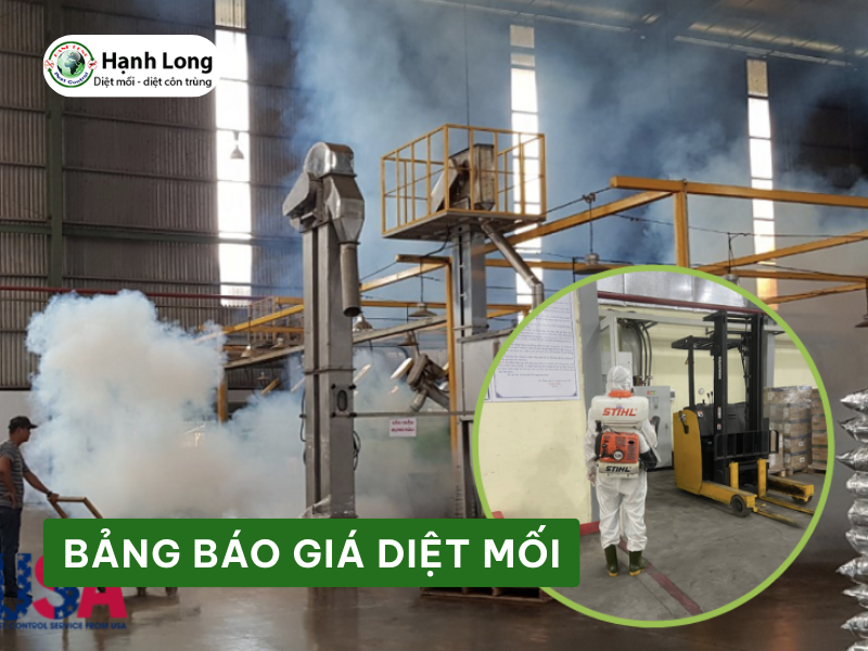 Bảng báo giá diệt mối