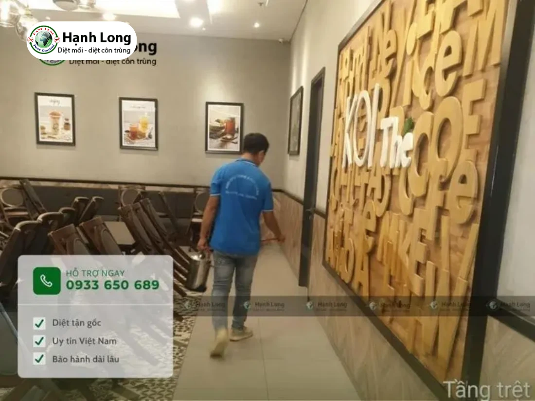 cách xua đuổi kiến ba khoang