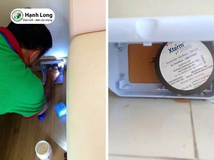 bả diệt mối sinh học Xterm AG