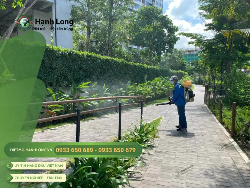 dịch vụ diệt ruồi
