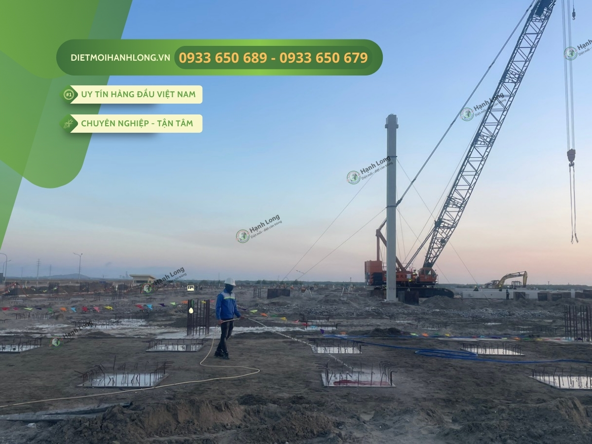 Phòng Chống Mối Công Trình Tại Phú Mỹ, Vũng Tàu