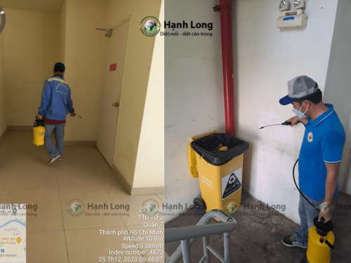 Triển khai dịch vụ phun côn trùng tại Phú Mỹ Hưng, Quận 7