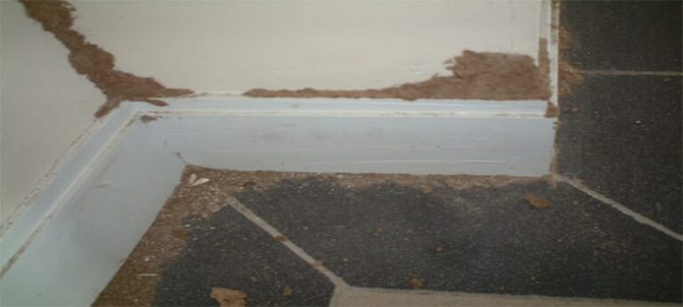 Mối xuất hiện ở nhà cao tầng bằng cách nào?