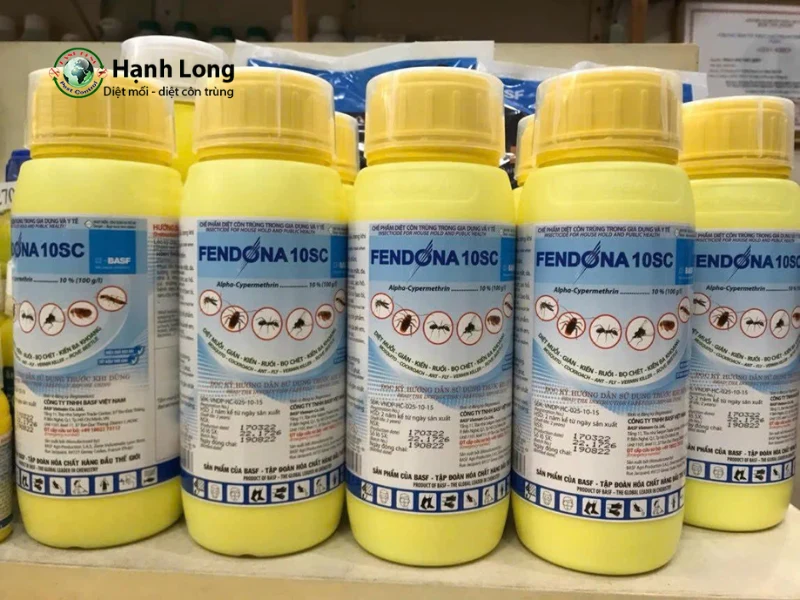 Dịch vụ diệt rệp