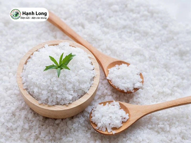 diệt mối bằng muối