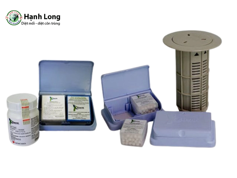 cách diệt mối dưới nền nhà