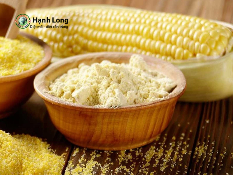 phun thuốc diệt côn trùng tại nhà