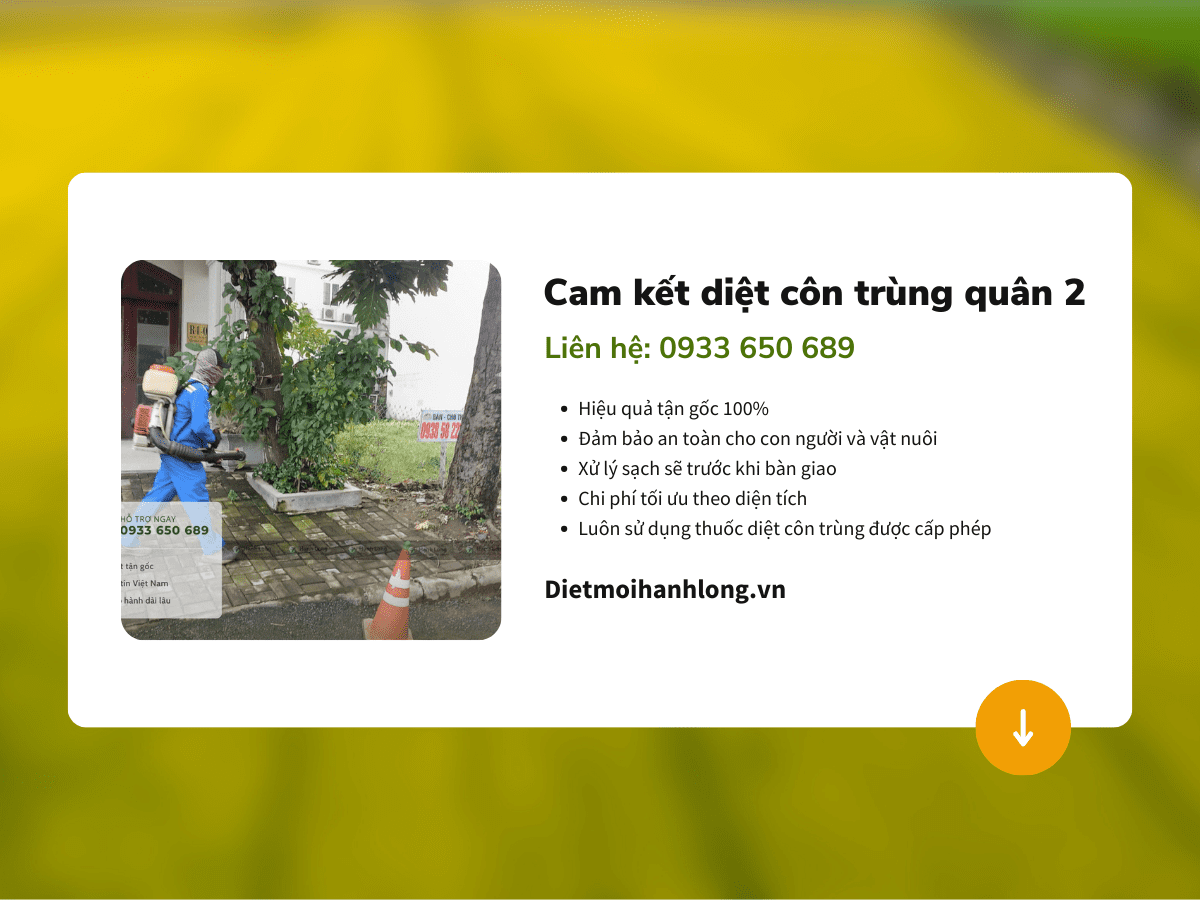 Cam kết khi diệt côn trùng tại quận 2