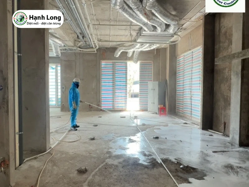 diệt mối tủ bếp