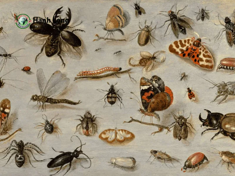 xịt côn trùng tại nhà