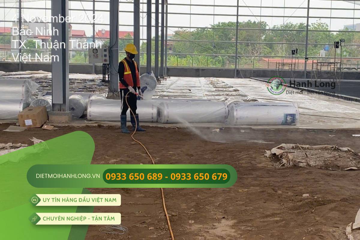 Triển khai thi công chống mối thực tế tại dự án KCN Bắc Ninh